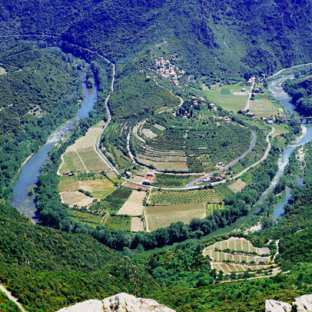 Camping Serignan Plage Herault Region Vignes Saint Chinian Vignoble Vue aerienne