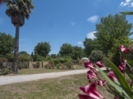 Serignan Plage Nature - Emplacement Plage Clos de la Grangette - Vue des allées