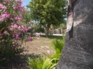 Serignan Plage Nature - Emplacement Plage Clos de la Grangette - Emplacement en pleine nature