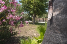 Serignan Plage Nature - Stellplätze Strand Clos de la Grangette - Stellplatz mitten in der Natur