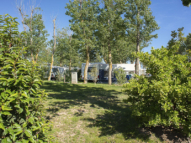 Serignan Plage Nature - Pitch special camping car (for camper vans) - View of the pitch