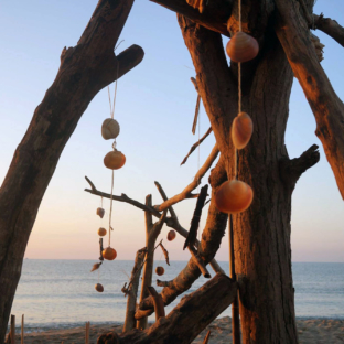 
                    Serignan Plage Nature - Values
                