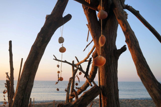 Serignan Plage Nature - Valeurs
